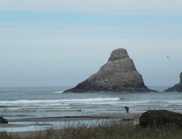 Haystack rocks near Cannon Beach, Oregon.  